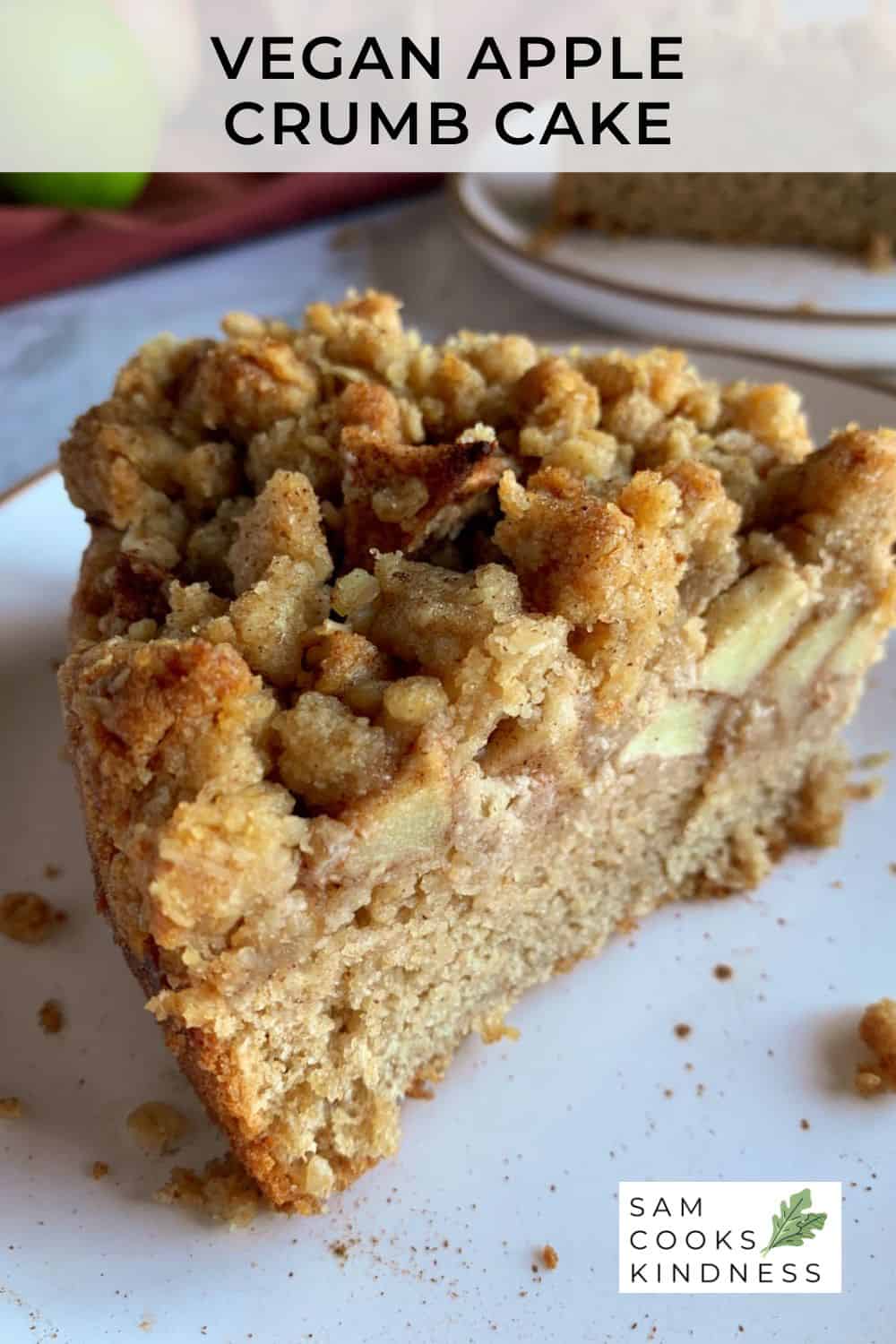 The BEST Apple Crumb Cake (vegan)