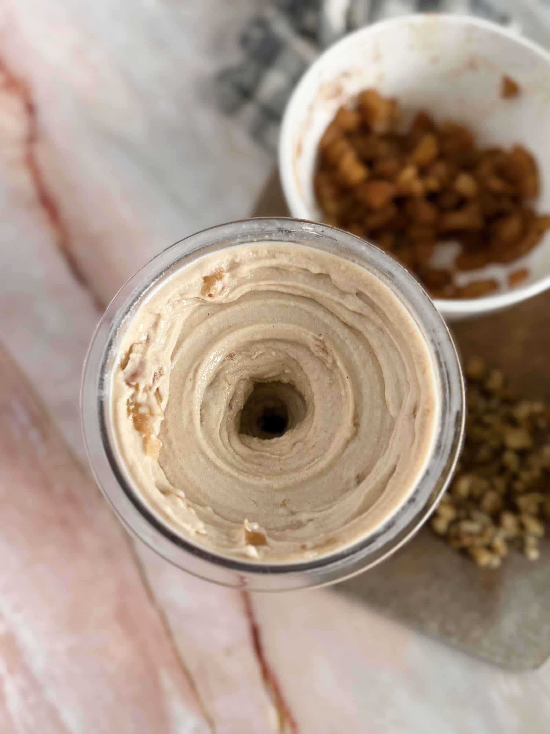 Apple Cinnamon Breakfast Bowl Ninja Creami healthy vegan recipe